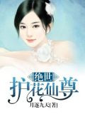 绝世护花仙尊