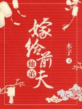 嫁给前夫他弟