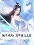 医手神灵：至尊医治之道