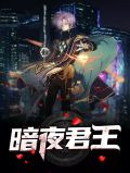 暗夜君王